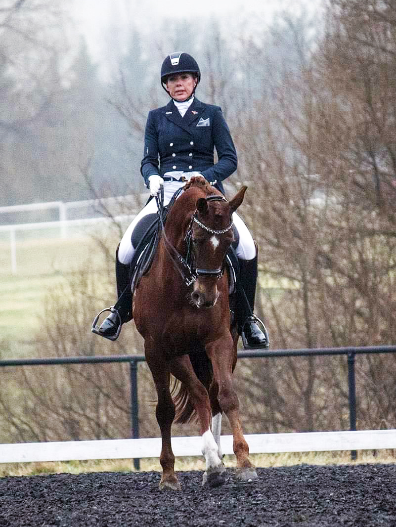 Progeny of Jive’s Delight: Ruby Bright